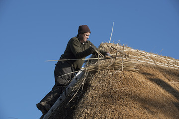 Thatcher working on the ridge of a thatched roof with hazel wood spars