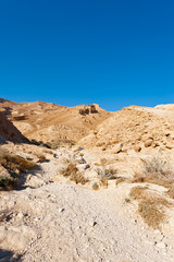 Fototapeta na wymiar Negev Desert