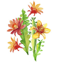 Beautiful flowers, watercolor illustration
