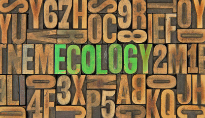 Ecology / caracteres d'imprimerie en bois