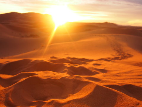 Sahara sand dune foot prints at sunset

