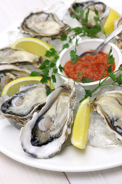 fresh oysters plate