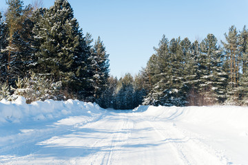 winter landscape