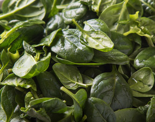 fresh spinach close-up