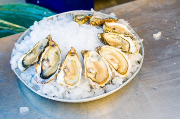Raw oysters