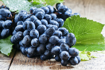 Fresh wet dark blue grapes with leaves and vines on an old woode