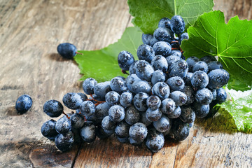 Fresh wet dark blue grapes with leaves and vines on an old woode