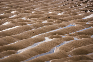 Fototapeta na wymiar A close up abstract of sand ripples on Singing Sands, Ardnamurchan, Scotland