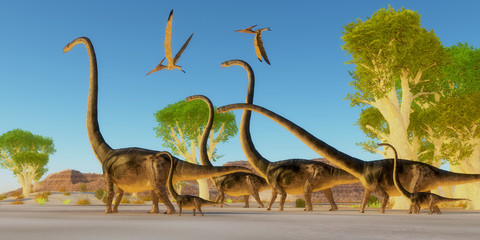 Jurassic Omeisaurus Forest - Two Pteranodon reptile birds fly over a herd of Omeisaurus dinosaurs traveling through a Jurassic forest. © Catmando