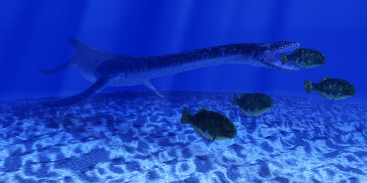 Jurassic Plesiosaurus Ocean - A Plesiosaurus marine reptile sneaks up behind a school of Dapedius fish as it goes in for the attack.