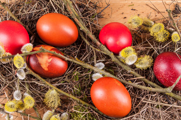 Easter colored eggs on the wooden table