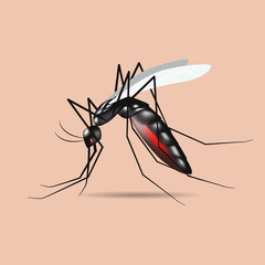 mosquito vector,sign