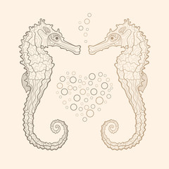Vector seahorse in love © ulyankin