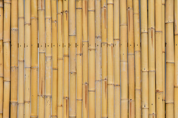 Natural yellow bamboo vertical bodies background