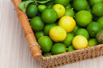 Florida Key Limes
