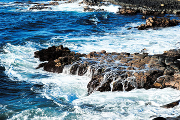 Ocean's Paradise Waves.