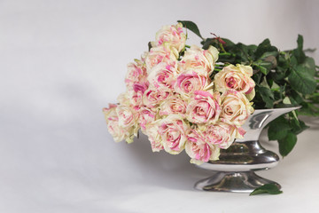 Bouquet of multi-colored roses on white background