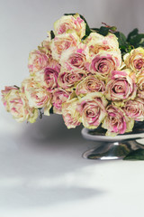 Bouquet of multi-colored roses on white background