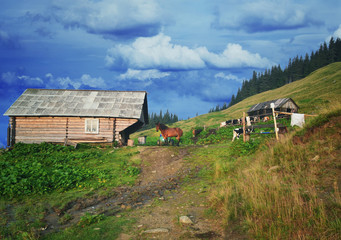 Traditional mountain house on green field in a village in Carpathian mountains 