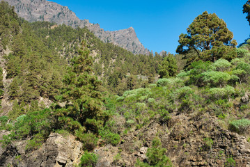 La Palma