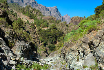 La Palma
