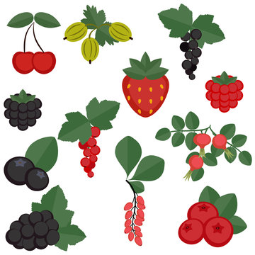 Set of juicy berries.
