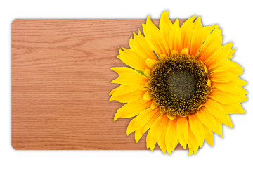 Obraz premium Sunflower on wood texture background.