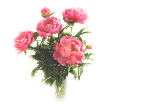peonies in a vase on a white backgroundpeonies on a white background
