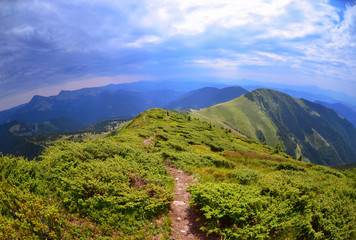Fish-eye  view of the beautiful landscape in  Carpathian mountains