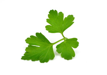 pietruszka © robert6666