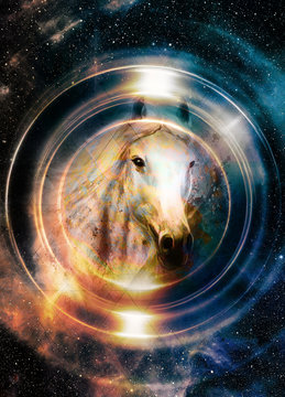 Horse in space, in circle light. Mirror on the planet Earth. Animal concept.