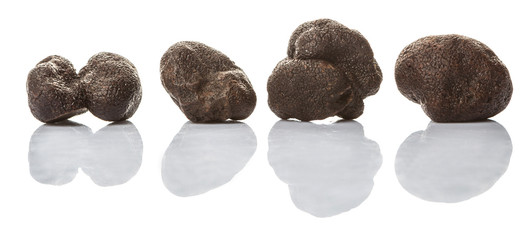 Black truffle mushroom over white background