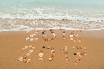 Welcome 2017 , good bye 2016