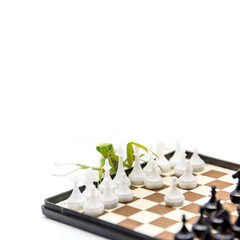Green mantis playing chess on the chess board, close up, selecti