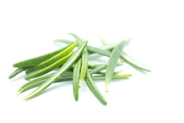 Fresh rosemary isolated on white background. Closeup.