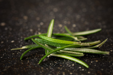 Fresh rosemary on a black background. Closeup.