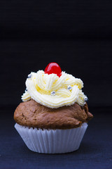 Delicious cupcake with whipped cream