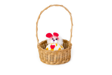 Toy recycle from rag in weave wicker basket isolated on white ba