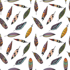 Feathers colorful on white background