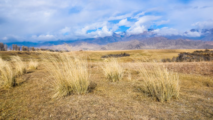 Large meadow and mountains in the background in autumn