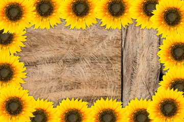 Frame of garden tools and flowers. Yellow sunflowers on wood bac