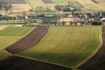 Pola © Grzegorz Polak