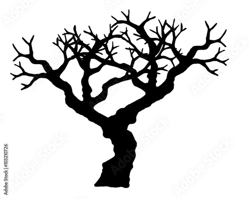 "Tree vector isolated on white background." Stock image and royalty-free vector files on Fotolia