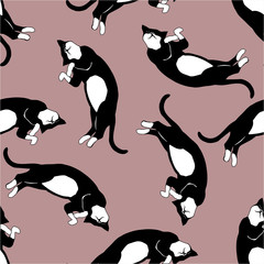 Cat sleeping pattern seamless. Vector illustration.