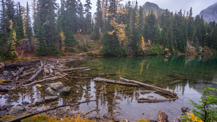 Obraz premium Fallen logs in a forest lake high in the mountains, BLUE LAKE TRAIL, Washington state
