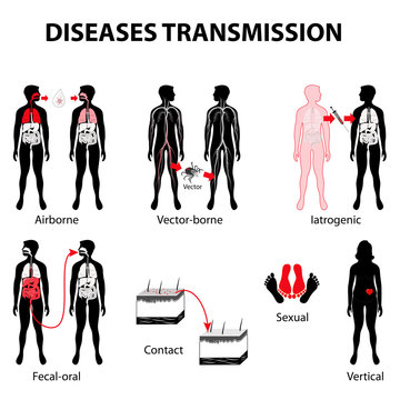 Disease Transmission