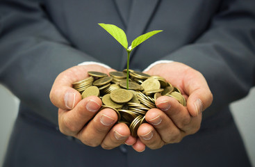 hands of business man holding a tree growing on golden coins - business investment with csr practice - Powered by Adobe