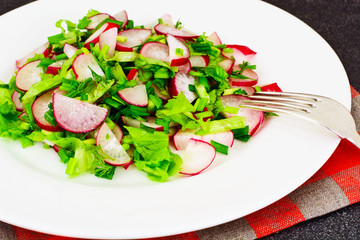 Dietary Salad from Fresh Juicy Radish, Green Onions, Lettuce