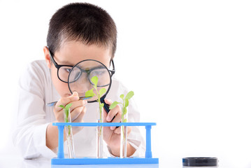 Young Asian boy check plant seedling in laboratory
