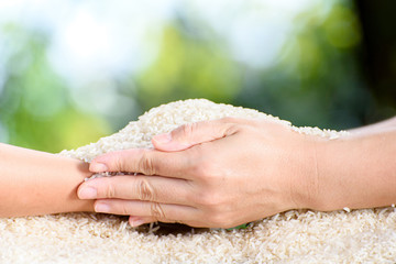 Jasmine rice in mother and child hands.